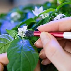 Pinceau pollinisation véritab d'occasion  Livré partout en France