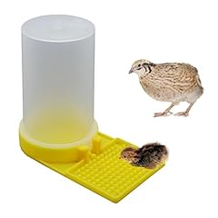 Baby bird button for sale  Delivered anywhere in USA 
