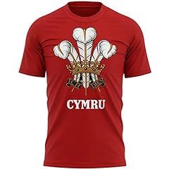 Prince wales cymru for sale  Delivered anywhere in UK