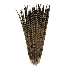 Sweegicc 10pcs natural for sale  Delivered anywhere in USA 
