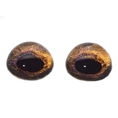 High dome redtail for sale  Delivered anywhere in USA 