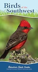 Birds southwest way for sale  Delivered anywhere in USA 