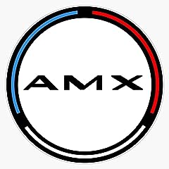 Amc amx bumper for sale  Delivered anywhere in USA 