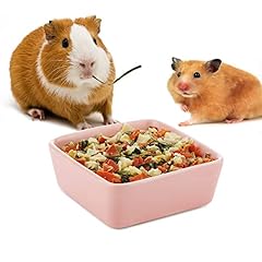 Hamster ceramic food for sale  Delivered anywhere in USA 