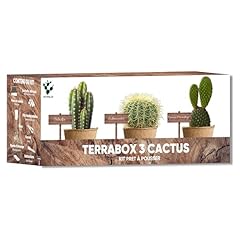 Kit cactus mini d'occasion  Livré partout en France