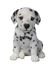 Dalmatian puppy pet for sale  Delivered anywhere in UK
