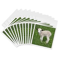 3drose greeting cards for sale  Delivered anywhere in USA 