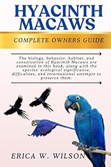 Hyacinth macaws this usato  Spedito ovunque in Italia 