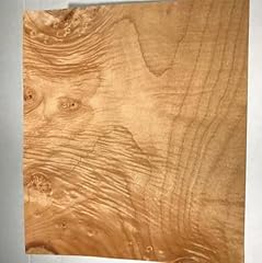 Generic maple burl for sale  Delivered anywhere in USA 