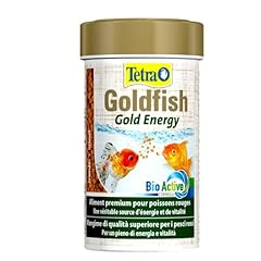 Tetra goldfish gold usato  Spedito ovunque in Italia 