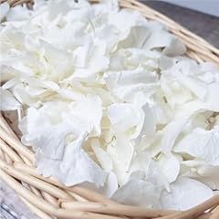 1500pcs real dried for sale  Delivered anywhere in USA 
