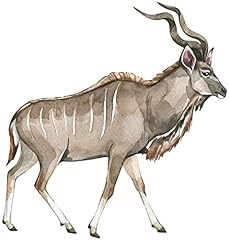 Samunshi kudu antilope gebraucht kaufen  Wird an jeden Ort in Deutschland