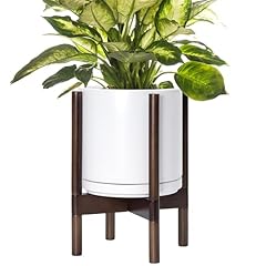 Vine dev ceramic for sale  Delivered anywhere in USA 