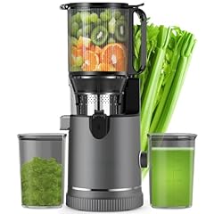 Estrattore succo slow usato  Spedito ovunque in Italia 