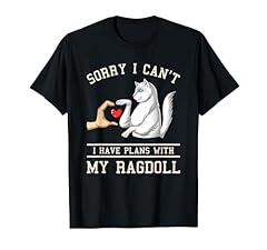 Ragdoll cat ragdolls usato  Spedito ovunque in Italia 