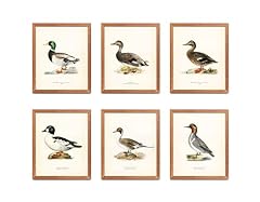 Atozstudio vintage duck for sale  Delivered anywhere in USA 