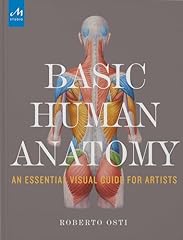 Basic human anatomy for sale  Delivered anywhere in UK
