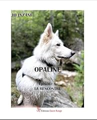Opaline épisode rencontre d'occasion  Livré partout en France