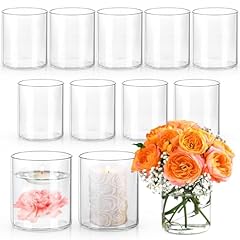 12pcs glass cylinder for sale  Delivered anywhere in USA 