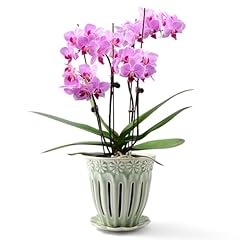 Suaden ceramic orchid for sale  Delivered anywhere in USA 