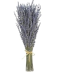 Dried flowers dried for sale  Delivered anywhere in UK