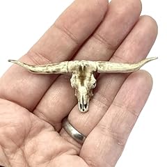 Texas longhorn miniature for sale  Delivered anywhere in USA 