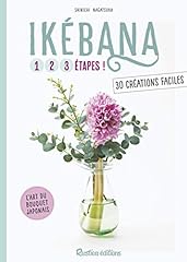 Ikebana d'occasion  Livré partout en France