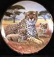 Cheetah cubs collectors for sale  Delivered anywhere in USA 