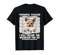 Personal stalker chihuahua for sale  Delivered anywhere in USA 