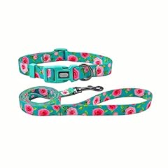 Olahibi dog collar for sale  Delivered anywhere in USA 