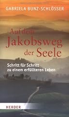 Dem jakobsweg seele gebraucht kaufen  Wird an jeden Ort in Deutschland