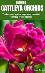 Growing cattleya orchids for sale  Delivered anywhere in UK