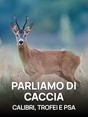 Parliamo caccia calibri usato  Spedito ovunque in Italia 