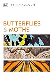Butterflies moths for sale  Delivered anywhere in UK