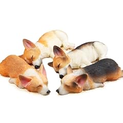 Rillyrellow miniature corgi for sale  Delivered anywhere in UK