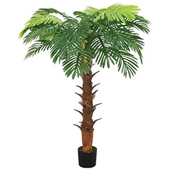Vidaxl palma cycas usato  Spedito ovunque in Italia 