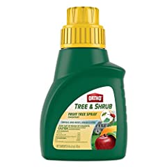 Ortho tree shrub for sale  Delivered anywhere in USA 