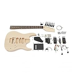 Kit per chitarra usato  Spedito ovunque in Italia 