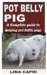 Pot belly pig for sale  Delivered anywhere in Ireland