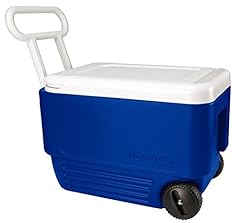 Igloo quart wheelie for sale  Delivered anywhere in USA 