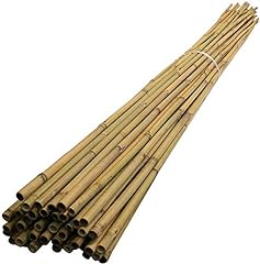 6ft bamboo garden for sale  Delivered anywhere in UK