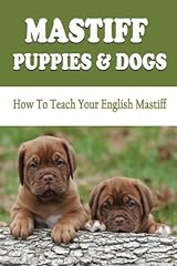 Mastiff puppies dogs for sale  Delivered anywhere in UK