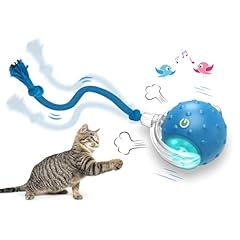 Giociv interactive cat for sale  Delivered anywhere in USA 