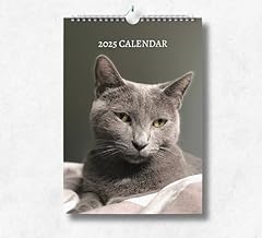 Russian blue cat for sale  Delivered anywhere in UK
