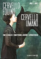 Cervello equino cervello usato  Spedito ovunque in Italia 