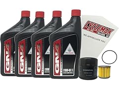 Cyclemax standard 10w for sale  Delivered anywhere in USA 