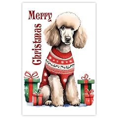 Standard poodle dog for sale  Delivered anywhere in UK