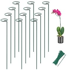 Joyhalo pack plant for sale  Delivered anywhere in USA 