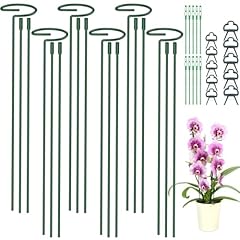 Hanotic 6pcs plant for sale  Delivered anywhere in UK