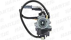 Carburatore dell orto usato  Spedito ovunque in Italia 